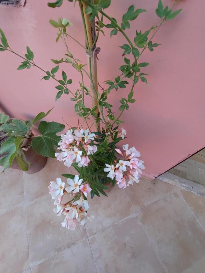 Maison Noe , Residence Al Quaria , Ab40 마라케시 외부 사진